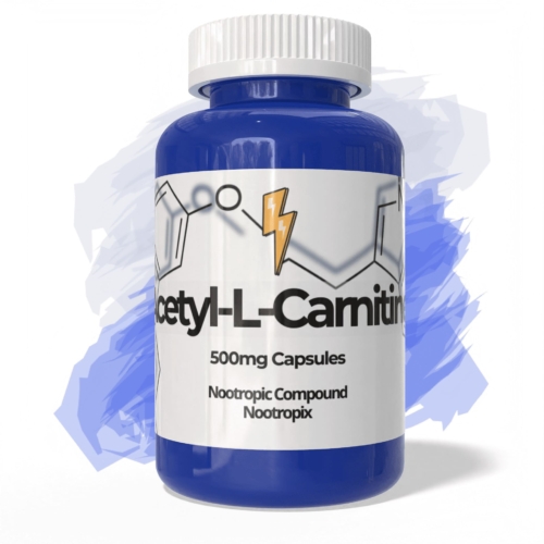 buy acetyl-l-carnitine alcar 500 mg capsules nootropic supplement from nootropix dubai uae product image