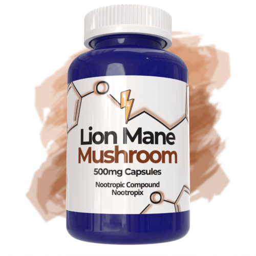 buy lion mane mushroom 500mg capsules online nootropix shop