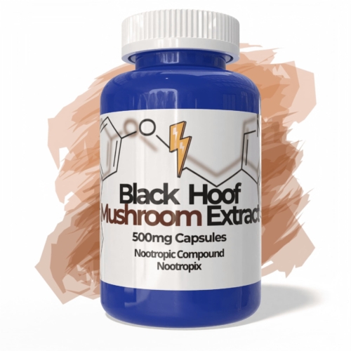 black hoof mushroom extract 500mg capsules nootropic supplement for nootropix shop dubai product image