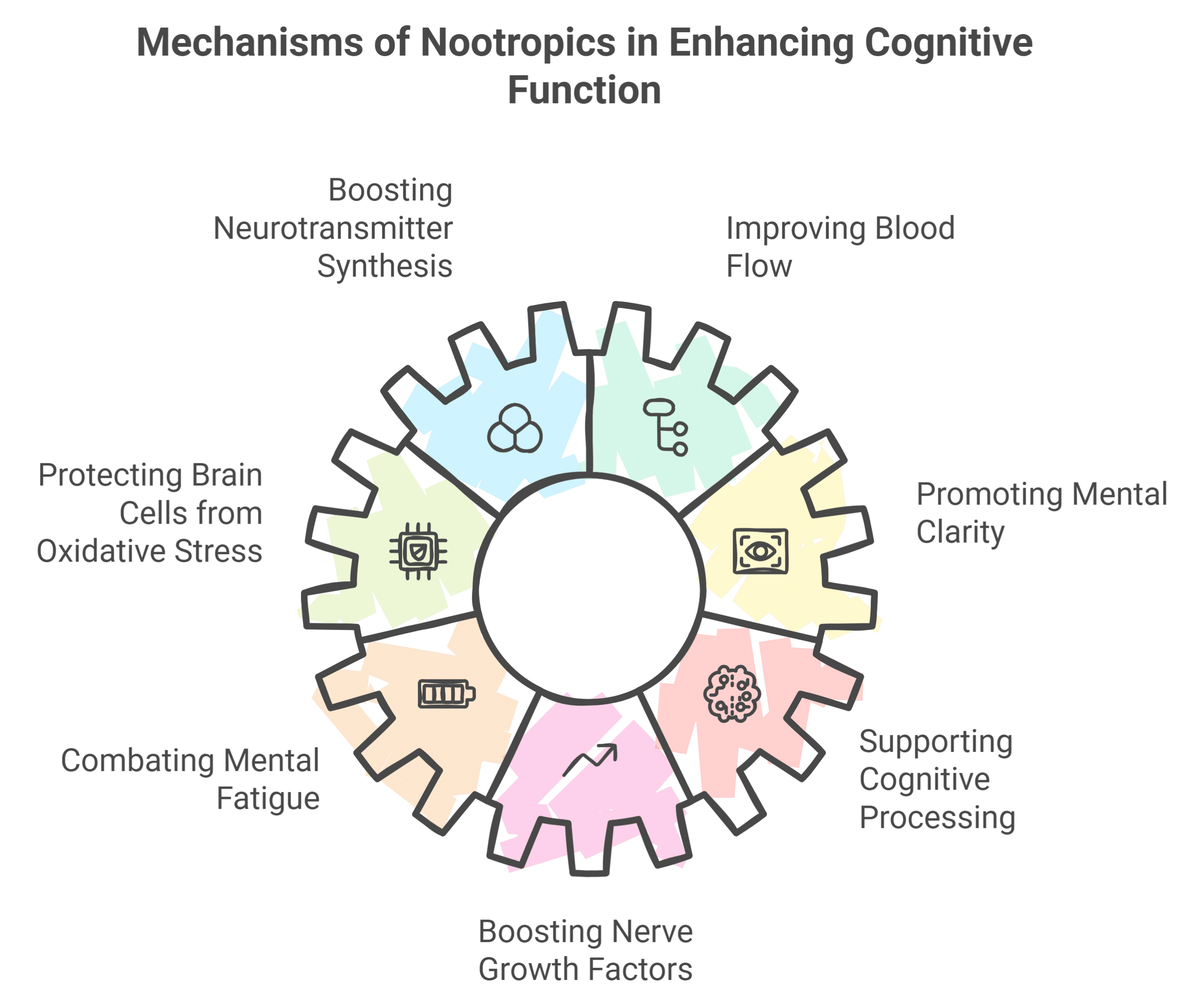 How Nootropics Boost Cognitive Function